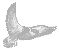 Imagenes y texturas de Dibujos-2