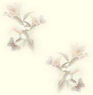 Imagenes y texturas de Dibujos-2