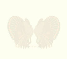 Imagenes y texturas de Dibujos-2