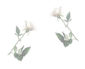 Imagenes y texturas de Dibujos-2