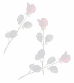 Imagenes y texturas de Dibujos-2