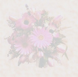 Imagenes y texturas de Dibujos-2