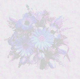 Imagenes y texturas de Dibujos-2