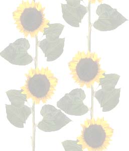 Imagenes y texturas de Dibujos-2