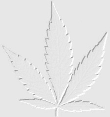 Imagenes y texturas de Dibujos-Relieve