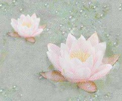 Imagenes y texturas de Dibujos