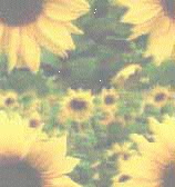 Imagenes y texturas de Dibujos