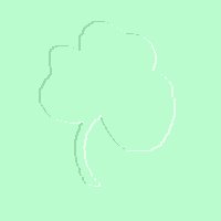 Imagenes y texturas de Motivos Florales-2