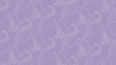 Imagenes y texturas de Floral