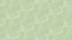 Imagenes y texturas de Floral