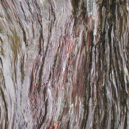 Imagenes y texturas de Madera-2