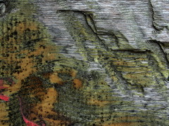 Imagenes y texturas de Madera