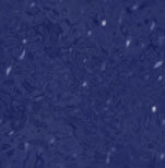 Imagenes y texturas Met�licas