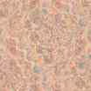 Imagenes y texturas de Otonyo-2