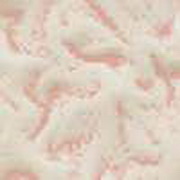 Imagenes y texturas de Otonyo-2