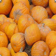 Imagenes y texturas de Otonyo