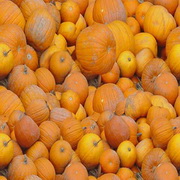 Imagenes y texturas de Otonyo