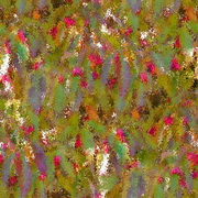 Imagenes y texturas de Otonyo