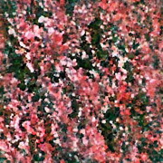 Imagenes y texturas de Otonyo