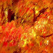 Imagenes y texturas de Otonyo