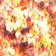 Imagenes y texturas de Otonyo