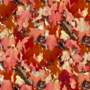 Imagenes y texturas de Otonyo