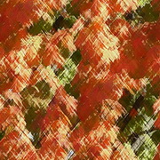 Imagenes y texturas de Otonyo