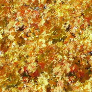 Imagenes y texturas de Otonyo