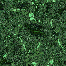 Imagenes y texturas de Patrones