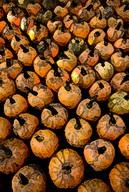 Imagenes y texturas de Pintura