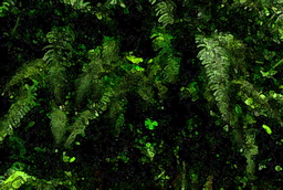 Imagenes y texturas de Pintura