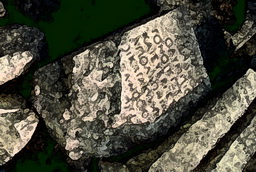 Imagenes y texturas de Pintura