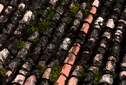 Imagenes y texturas de Pintura