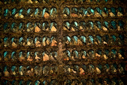 Imagenes y texturas de Pintura