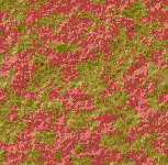 Imagenes y texturas de Superficies Punteadas y Rugosas