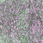 Imagenes y texturas de Superficies Punteadas y Rugosas