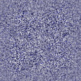 Imagenes y texturas de Superficies Punteadas y Rugosas