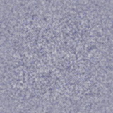 Imagenes y texturas de Superficies Punteadas y Rugosas