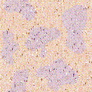 Imagenes y texturas de Superficies Punteadas y Rugosas