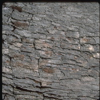 Imagenes y texturas de Superficies (piedras)