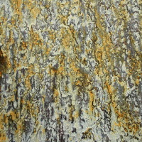 Imagenes y texturas de Superficies (piedras)