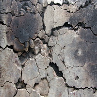 Imagenes y texturas de Superficies (piedras)