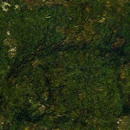 Imagenes y texturas de Superficies (piedras)