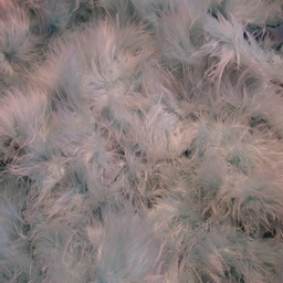 Imagenes y texturas de Tejidos